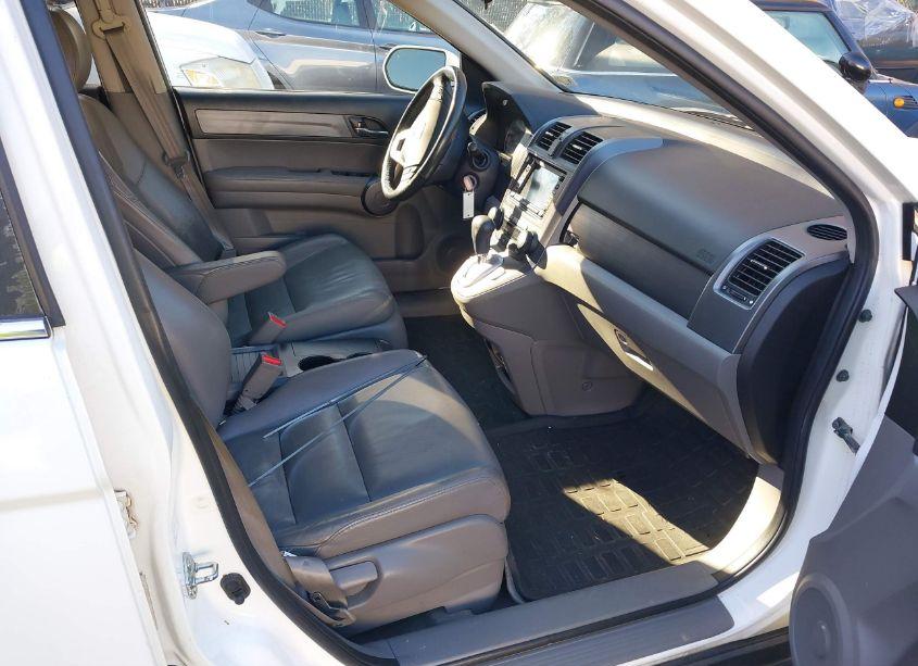 Photo 5 of 2009 Honda Cr-v EX-L (VIN 5J6RE487X9L003026)