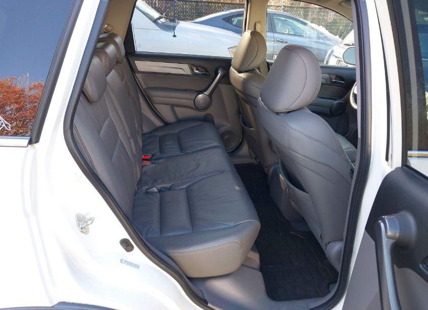 Photo 8 of 2009 Honda Cr-v EX-L (VIN 5J6RE487X9L003026)