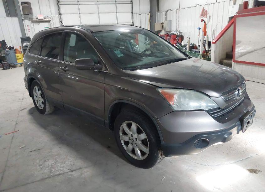2009 Honda Cr-v EX-L (VIN 5J6RE487X9L049617) main photo