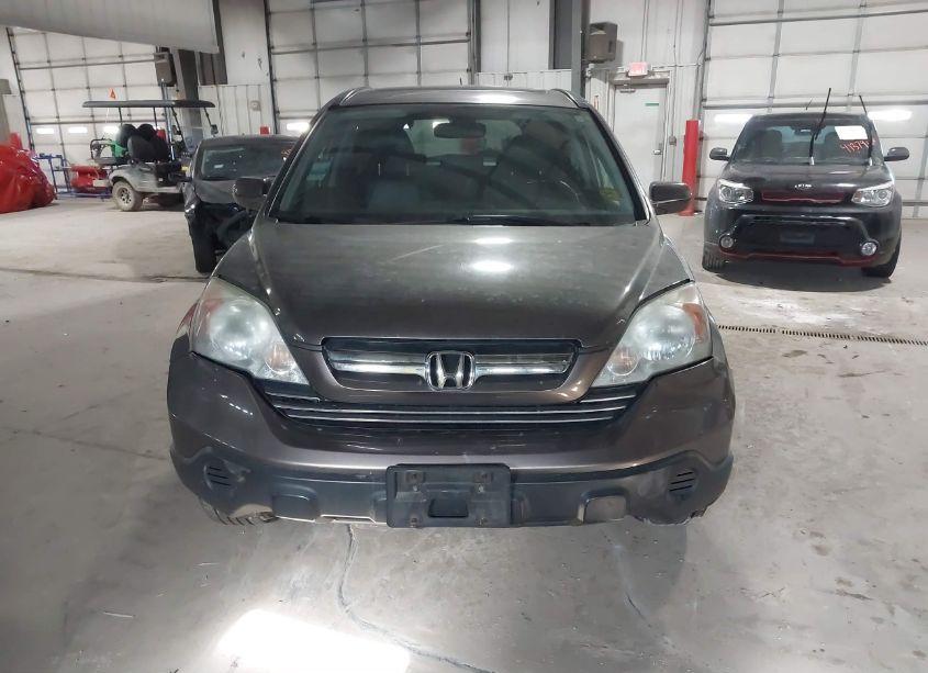 Photo 12 of 2009 Honda Cr-v EX-L (VIN 5J6RE487X9L049617)