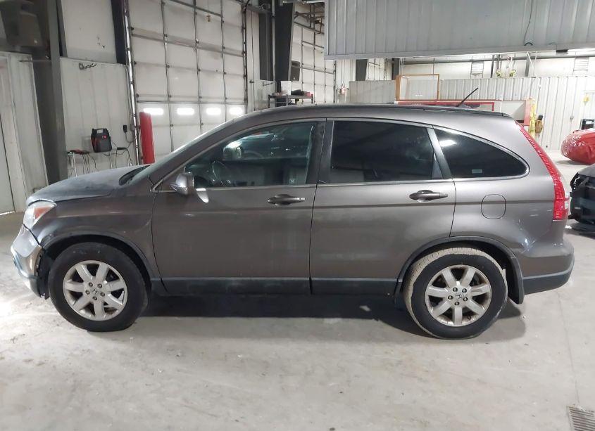 Photo 14 of 2009 Honda Cr-v EX-L (VIN 5J6RE487X9L049617)