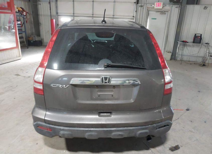 Photo 16 of 2009 Honda Cr-v EX-L (VIN 5J6RE487X9L049617)