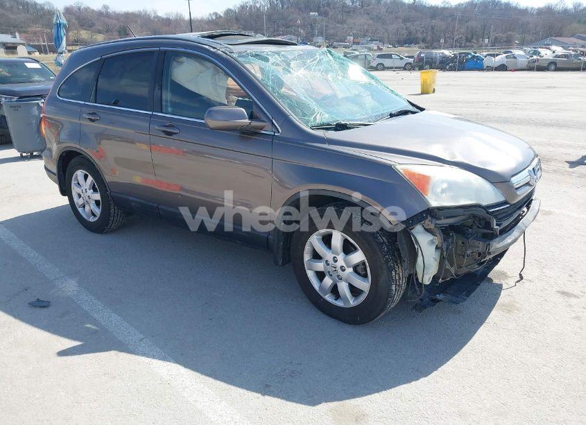 2009 Honda Cr-v EX-L (VIN 5J6RE487X9L055661) main photo