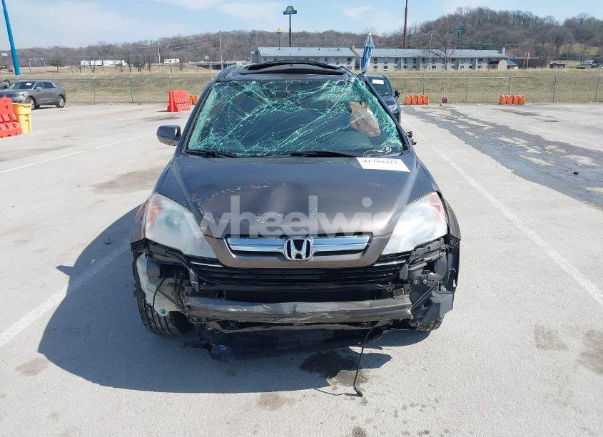 Photo 13 of 2009 Honda Cr-v EX-L (VIN 5J6RE487X9L055661)