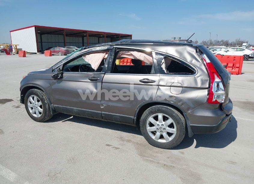 Photo 15 of 2009 Honda Cr-v EX-L (VIN 5J6RE487X9L055661)