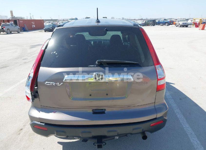 Photo 17 of 2009 Honda Cr-v EX-L (VIN 5J6RE487X9L055661)
