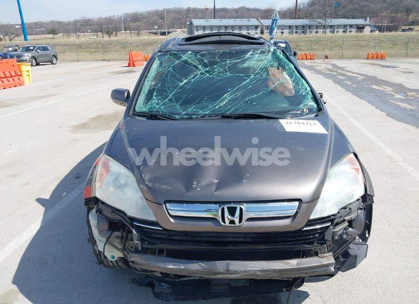 Photo 6 of 2009 Honda Cr-v EX-L (VIN 5J6RE487X9L055661)