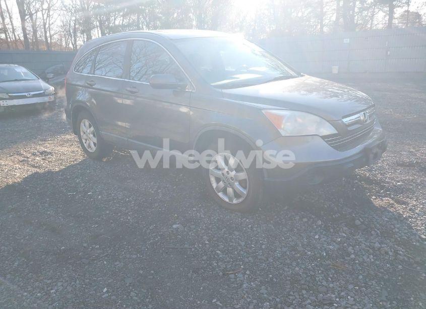 2009 Honda Cr-v EX-L (VIN 5J6RE487X9L056020) main photo
