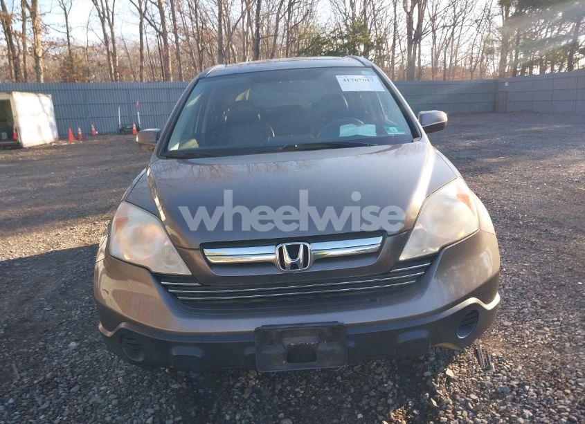 Photo 12 of 2009 Honda Cr-v EX-L (VIN 5J6RE487X9L056020)