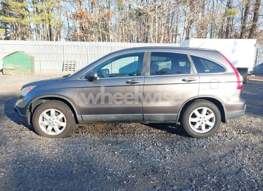 Photo 14 of 2009 Honda Cr-v EX-L (VIN 5J6RE487X9L056020)