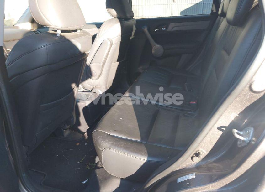 Photo 8 of 2009 Honda Cr-v EX-L (VIN 5J6RE487X9L056020)