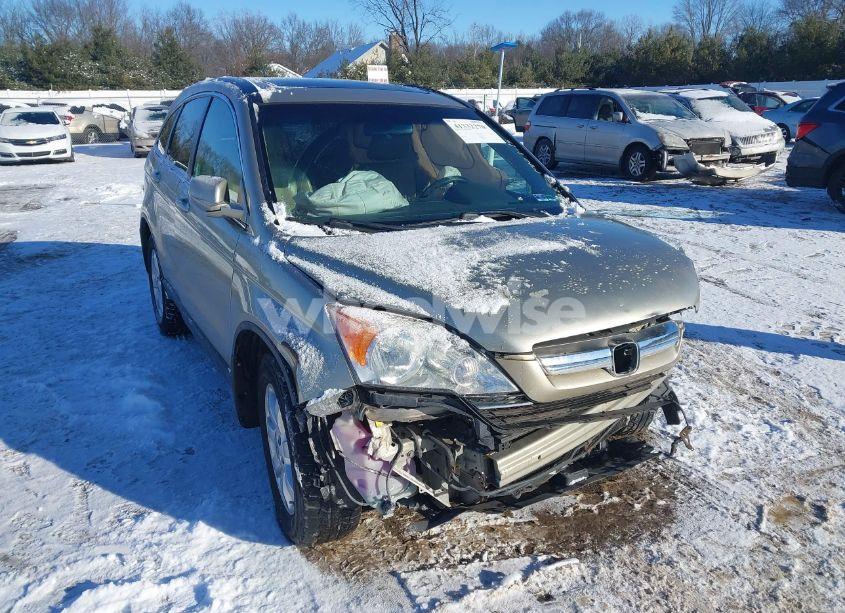 2009 Honda Cr-v EX-L (VIN 5J6RE487X9L063937) main photo