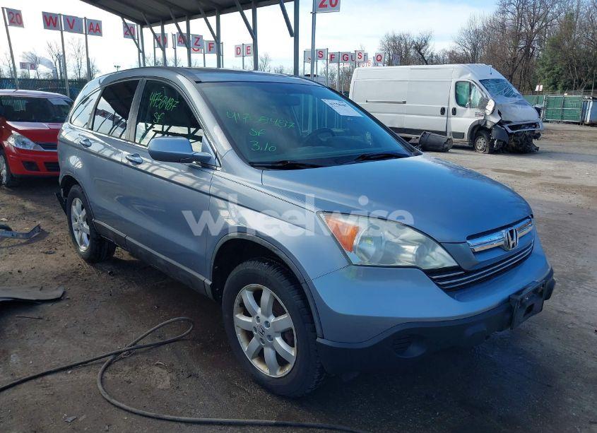 2009 Honda Cr-v EX-L (VIN 5J6RE487X9L067521) main photo