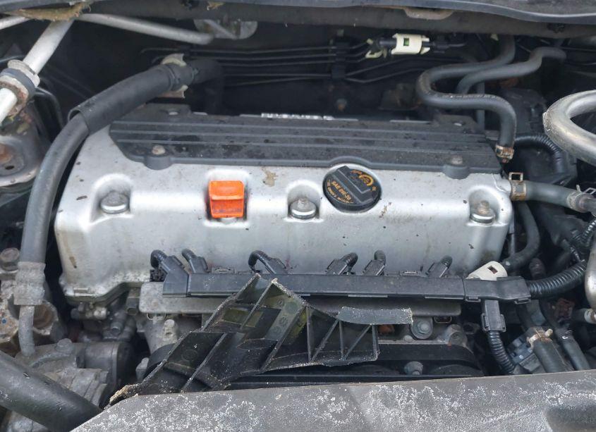 Photo 10 of 2010 Honda Cr-v LX (VIN 5J6RE4H30AL092445)