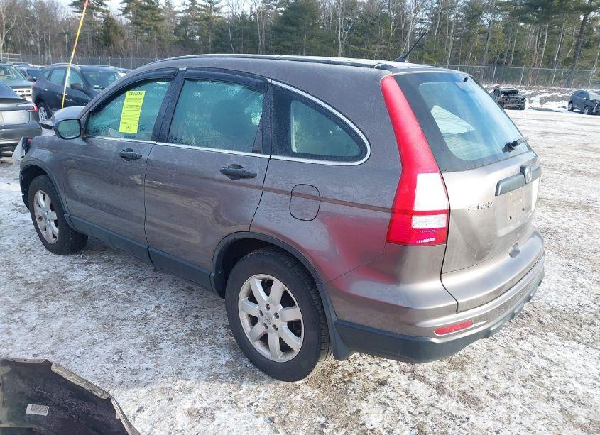 Photo 3 of 2010 Honda Cr-v LX (VIN 5J6RE4H30AL092445)