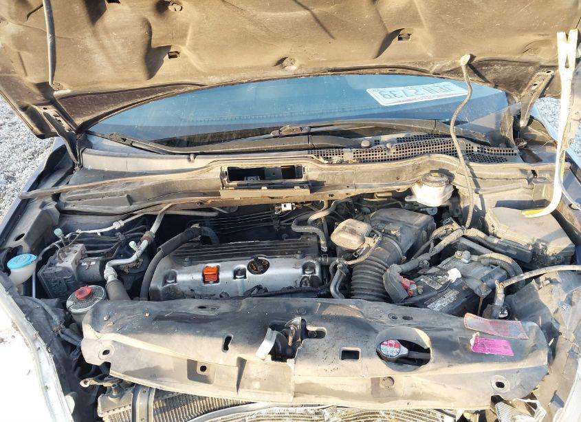 Photo 10 of 2010 Honda Cr-v LX (VIN 5J6RE4H30AL095491)