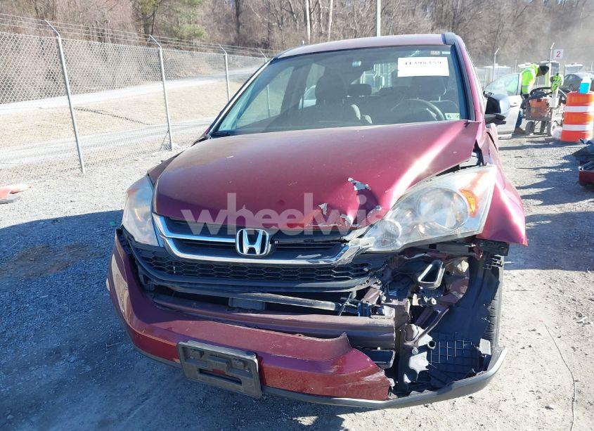 Photo 12 of 2011 Honda Cr-v LX (VIN 5J6RE4H31BL052442)