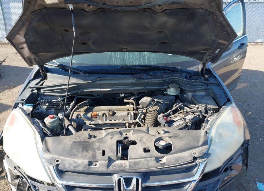 Photo 10 of 2010 Honda Cr-v LX (VIN 5J6RE4H32AL063741)