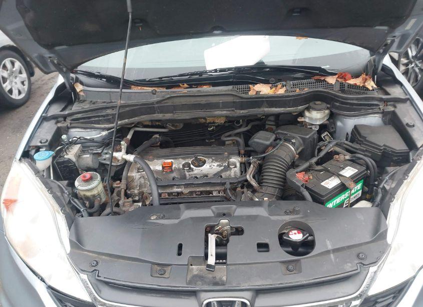 Photo 10 of 2010 Honda Cr-v LX (VIN 5J6RE4H32AL081088)