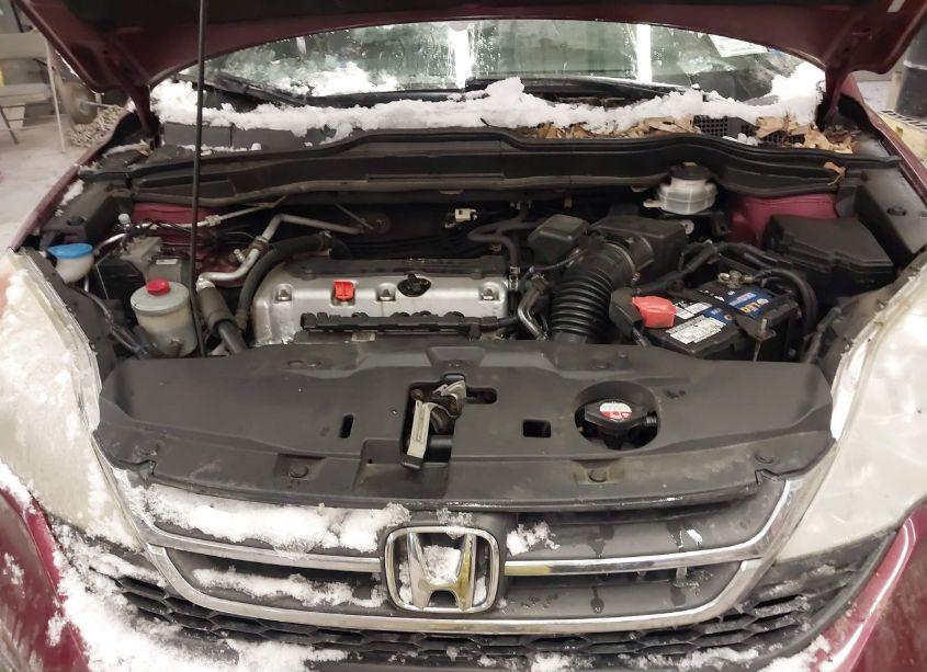 Photo 10 of 2011 Honda Cr-v LX (VIN 5J6RE4H32BL044382)