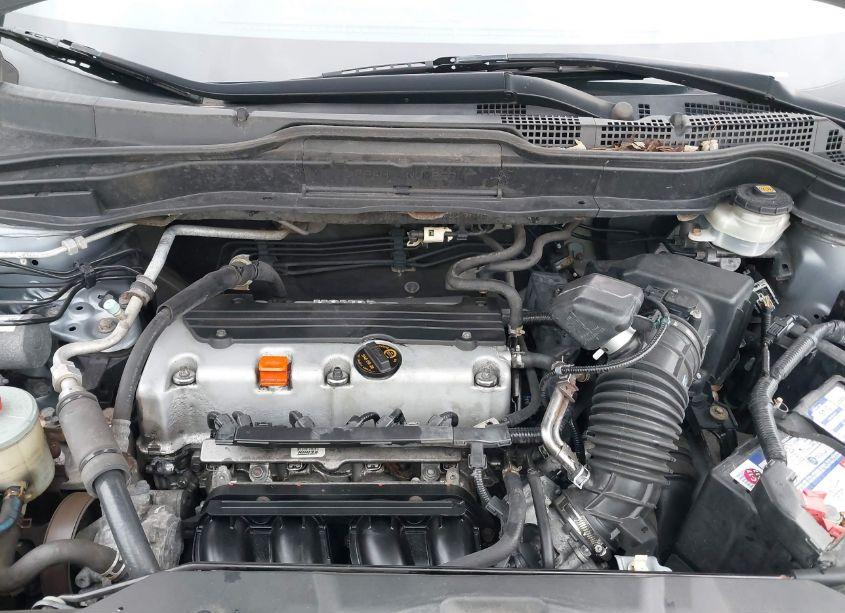 Photo 10 of 2010 Honda Cr-v LX (VIN 5J6RE4H33AL083254)