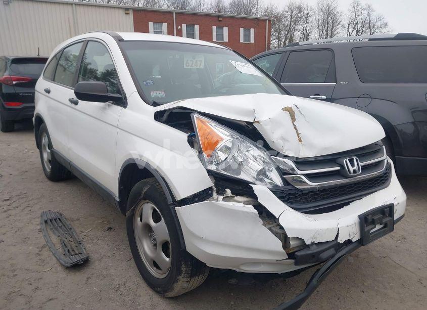 2011 Honda Cr-v LX (VIN 5J6RE4H33BL075334) main photo