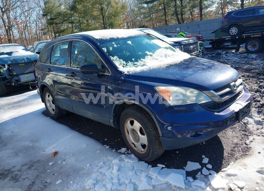2010 Honda Cr-v LX (VIN 5J6RE4H34AL035486) main photo