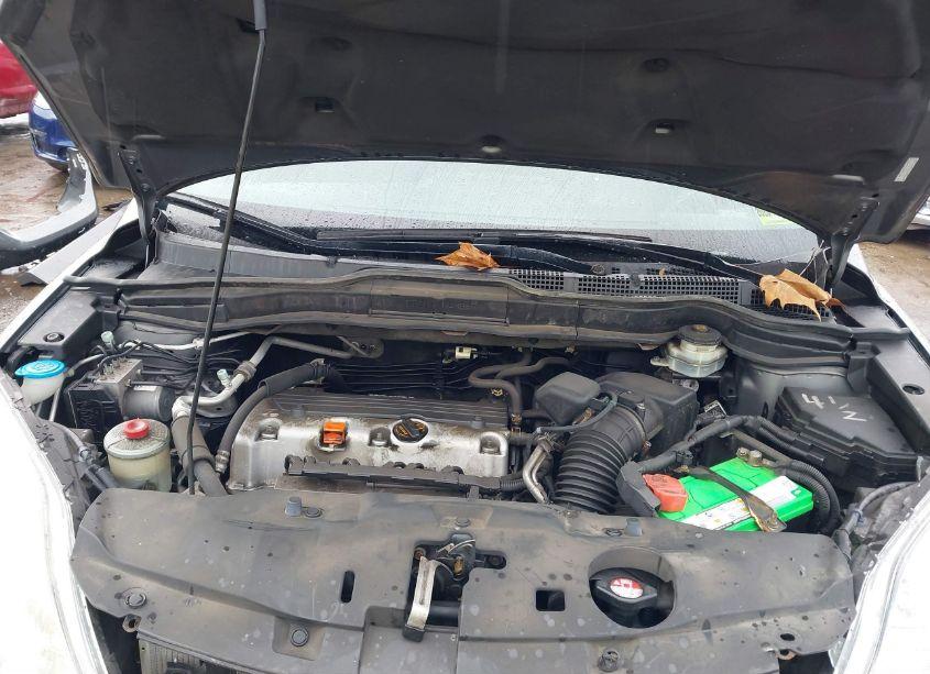 Photo 10 of 2010 Honda Cr-v LX (VIN 5J6RE4H34AL046942)