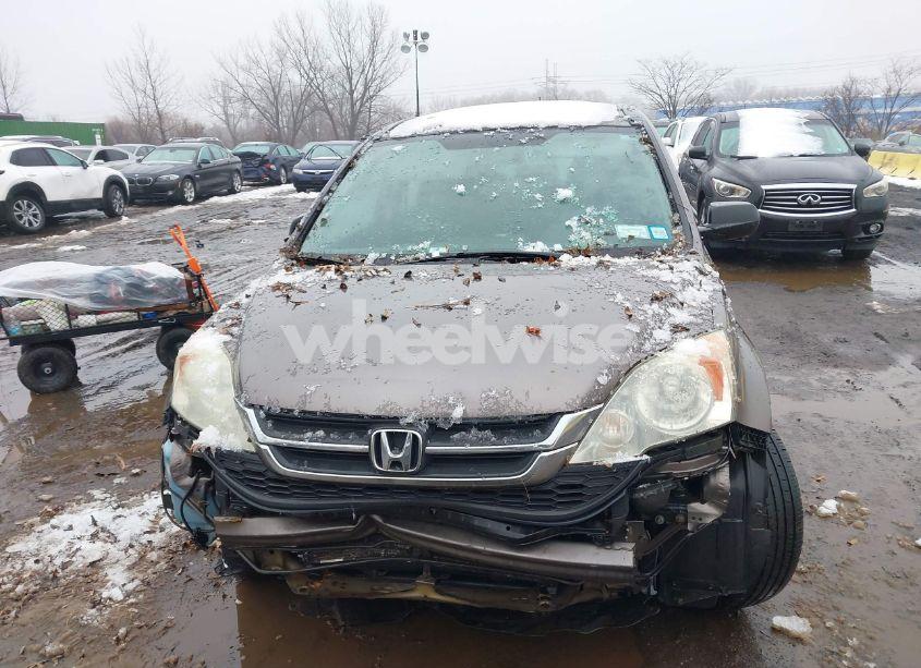 Photo 11 of 2010 Honda Cr-v LX (VIN 5J6RE4H34AL097809)