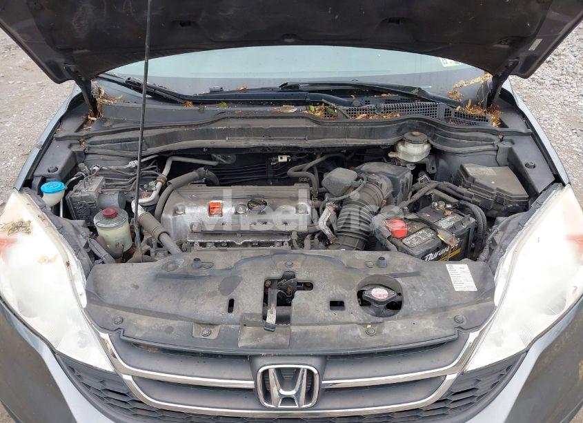 Photo 10 of 2011 Honda Cr-v LX (VIN 5J6RE4H34BL116974)