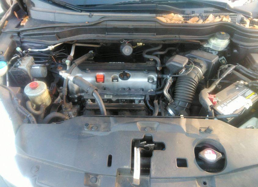 Photo 10 of 2010 Honda Cr-v LX (VIN 5J6RE4H35AL032757)