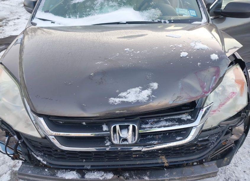 Photo 10 of 2010 Honda Cr-v LX (VIN 5J6RE4H35AL053379)