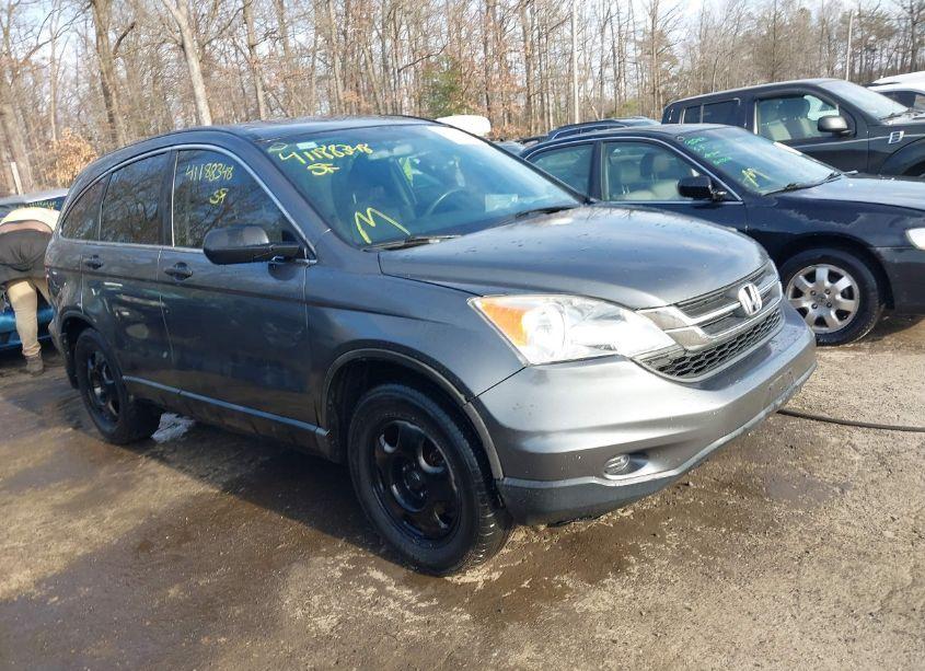2010 Honda Cr-v LX (VIN 5J6RE4H35AL059487) main photo