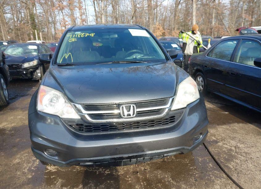 Photo 12 of 2010 Honda Cr-v LX (VIN 5J6RE4H35AL059487)