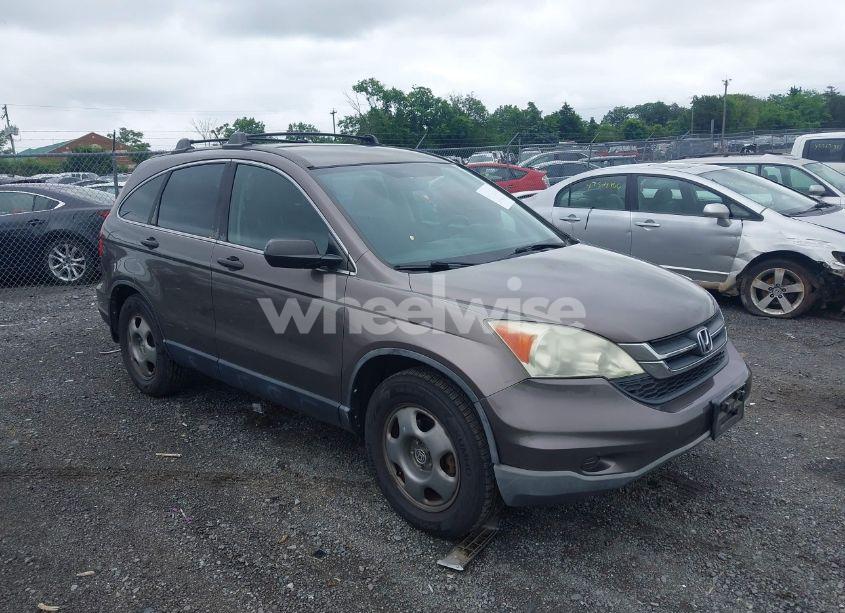2010 Honda Cr-v LX (VIN 5J6RE4H35AL097821) main photo