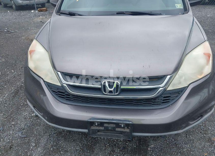 Photo 6 of 2010 Honda Cr-v LX (VIN 5J6RE4H35AL097821)