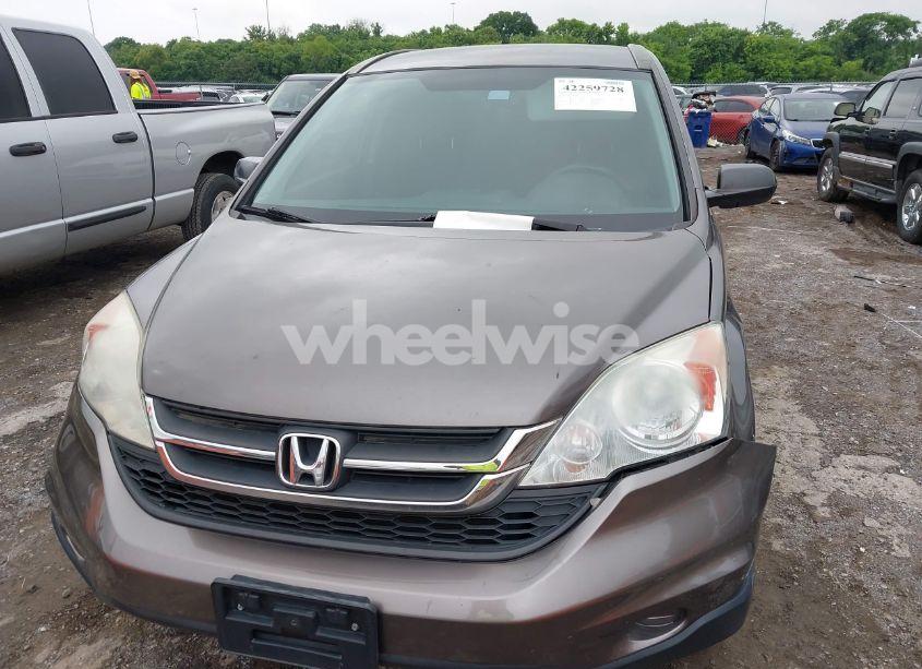 Photo 12 of 2010 Honda Cr-v LX (VIN 5J6RE4H37AL038057)