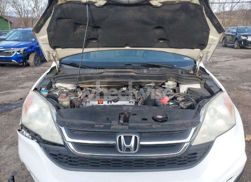 Photo 10 of 2010 Honda Cr-v LX (VIN 5J6RE4H37AL076498)