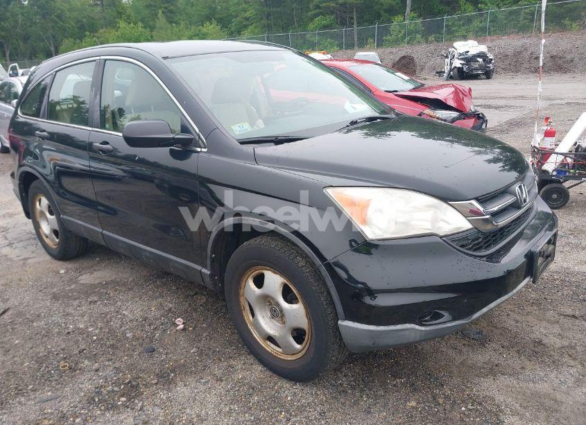 2010 Honda Cr-v LX (VIN 5J6RE4H37AL101366) main photo