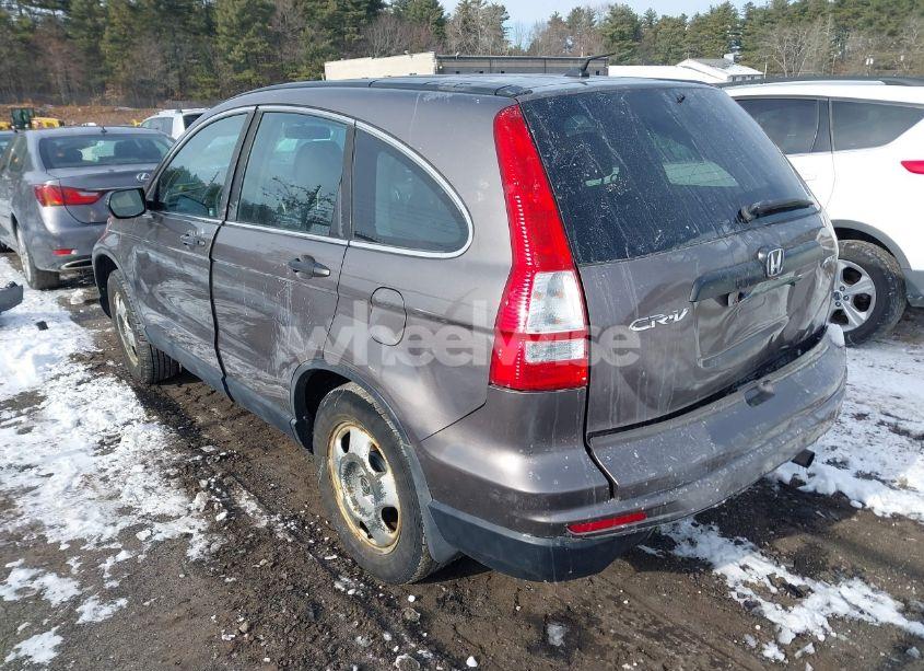 Photo 3 of 2011 Honda Cr-v LX (VIN 5J6RE4H37BL121599)