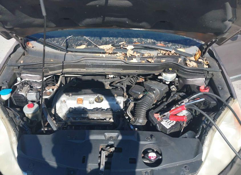 Photo 10 of 2010 Honda Cr-v LX (VIN 5J6RE4H38AL092404)