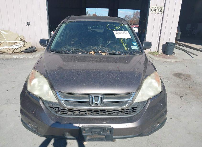 Photo 12 of 2010 Honda Cr-v LX (VIN 5J6RE4H38AL092404)