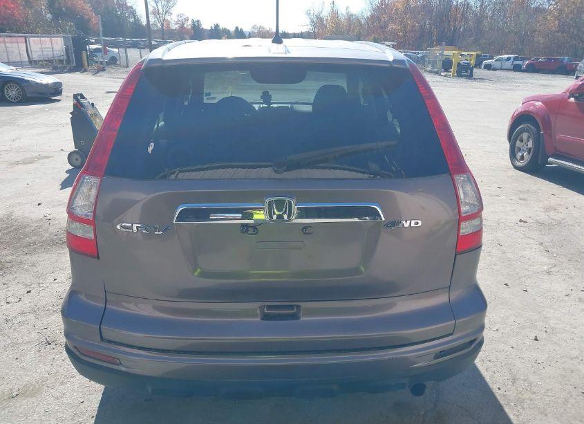 Photo 16 of 2010 Honda Cr-v LX (VIN 5J6RE4H38AL092404)