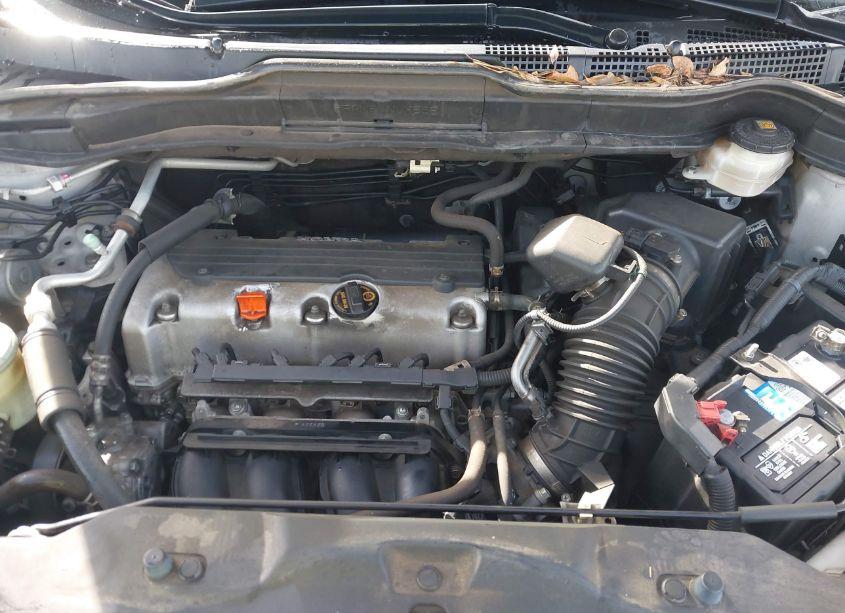 Photo 10 of 2010 Honda Cr-v LX (VIN 5J6RE4H39AL029716)