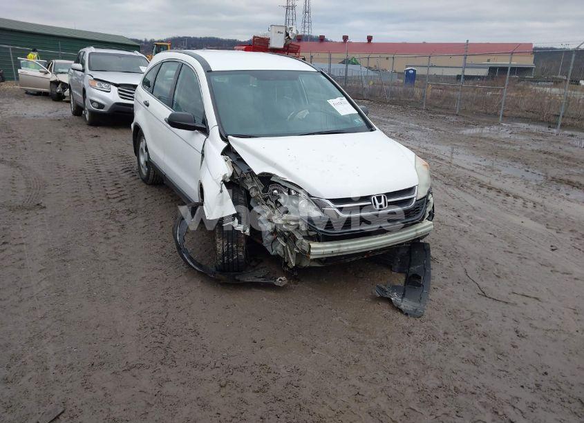 2011 Honda Cr-v LX (VIN 5J6RE4H39BL100186) main photo