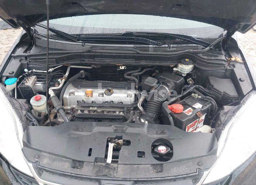 Photo 10 of 2010 Honda Cr-v LX (VIN 5J6RE4H3XAL013699)