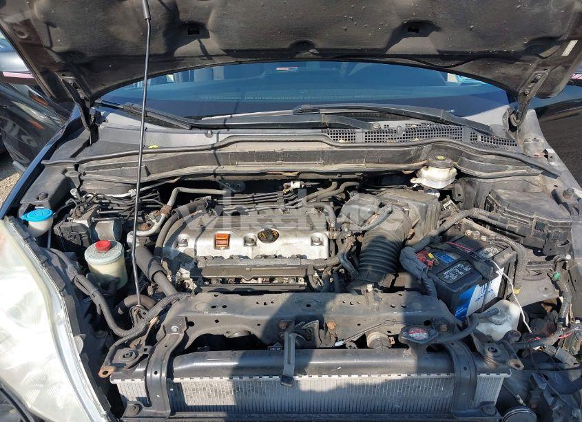 Photo 10 of 2010 Honda Cr-v LX (VIN 5J6RE4H3XAL083557)