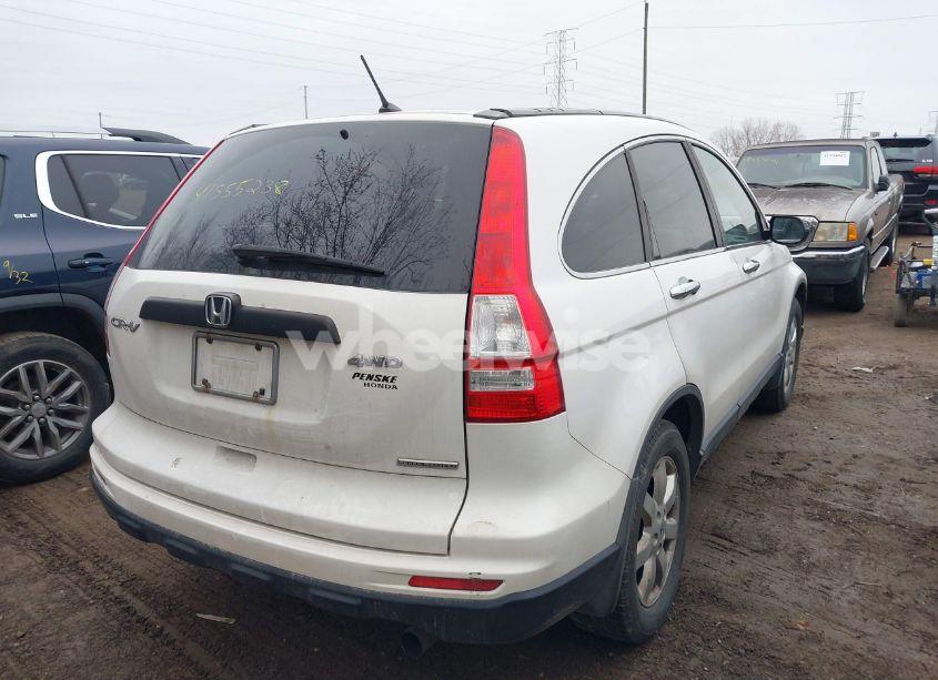 Photo 4 of 2011 Honda Cr-v SE (VIN 5J6RE4H40BL003032)