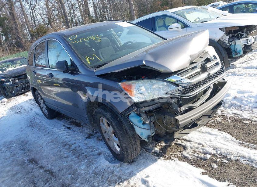 2011 Honda Cr-v SE (VIN 5J6RE4H41BL090780) main photo