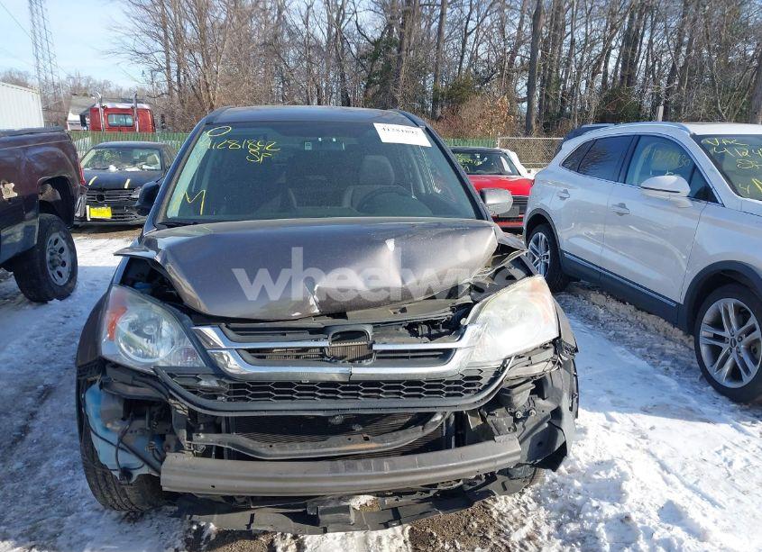 Photo 13 of 2011 Honda Cr-v SE (VIN 5J6RE4H41BL090780)